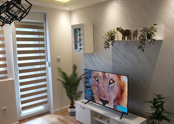Apartman Damjan Sokobanja